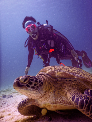 Diver under water swimming past turtle